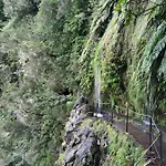 Casa Daniela 別荘 *