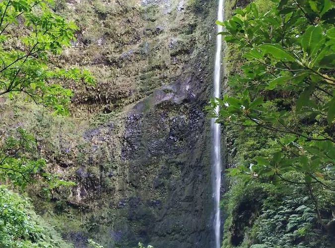 Casa Daniela * Calheta (Madeira)