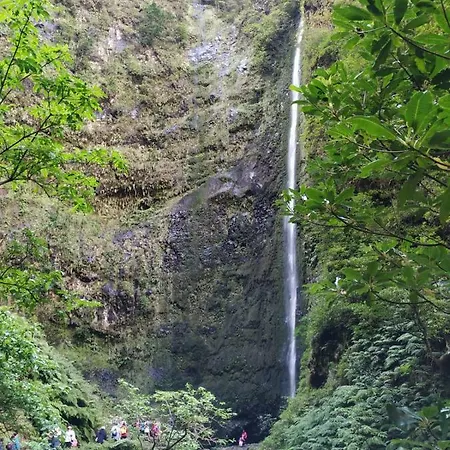 Casa Daniela * Calheta (Madeira)