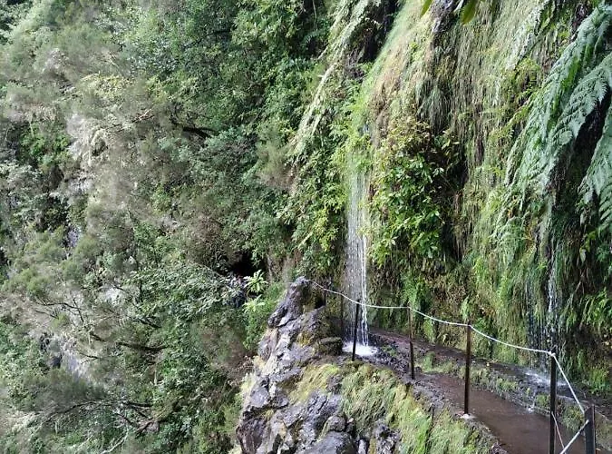 Casa Daniela 펜션 *